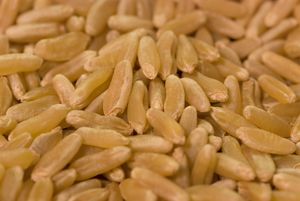 Kamut closeup.jpg